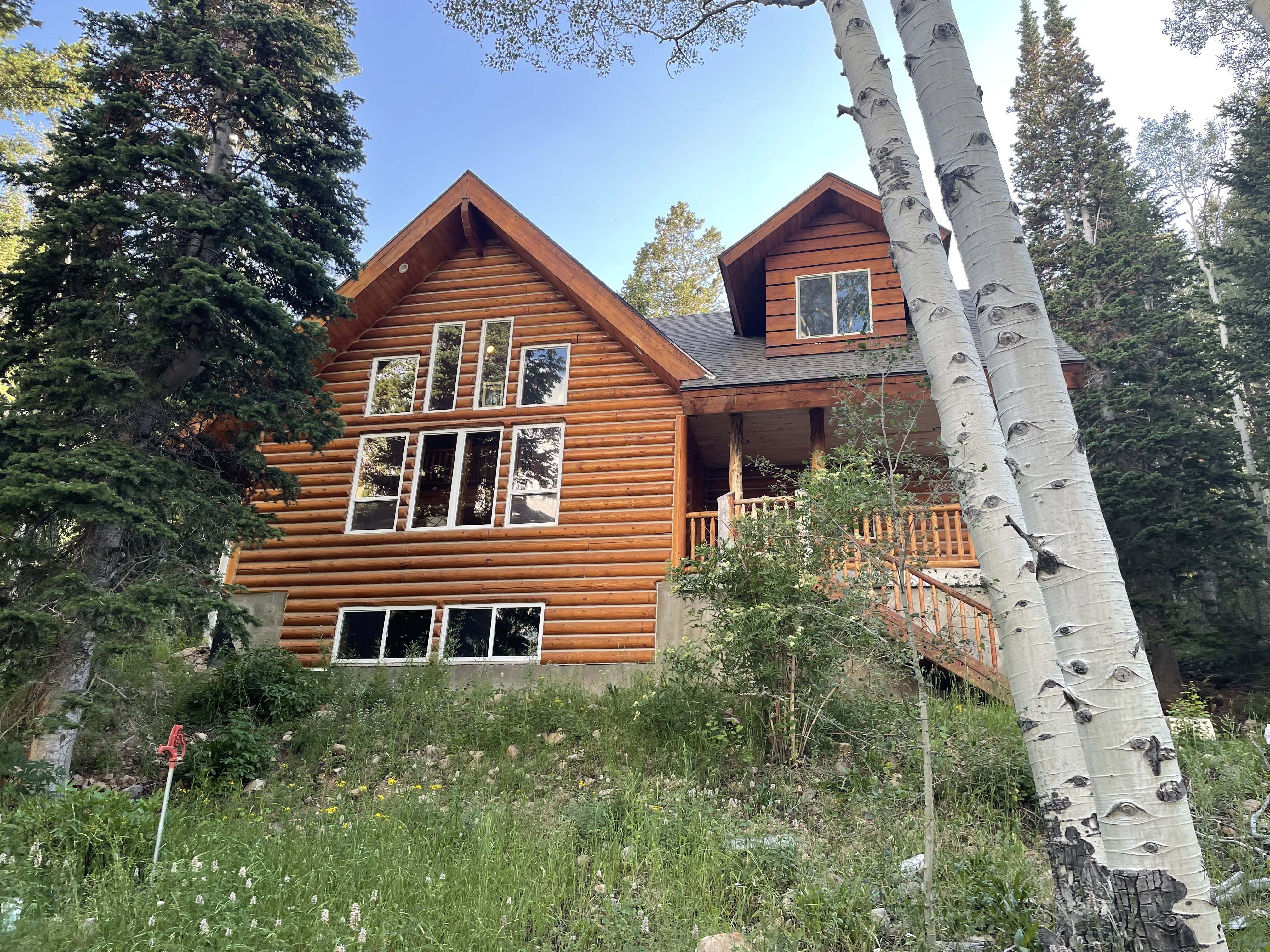 The Studio in the Woods surrounded by aspens